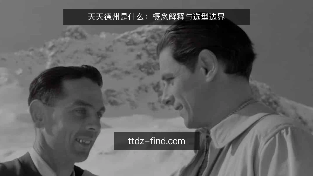 天天德州是什么:概念解释与选型边界